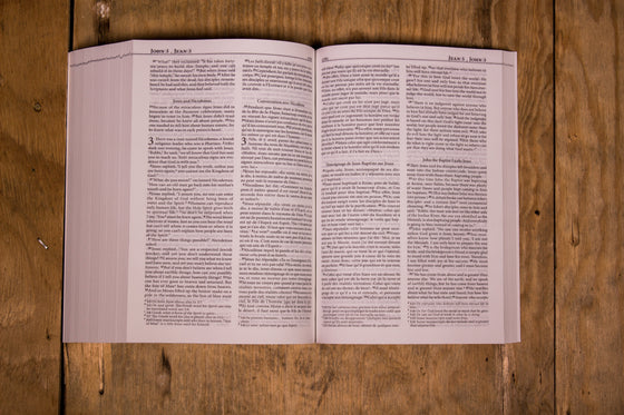 Bible bilingue anglais-français NLT-Segond 21 Bleue souple Tranche blanche