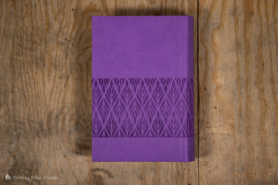 Bible Segond 21 compacte Vivella violet souple