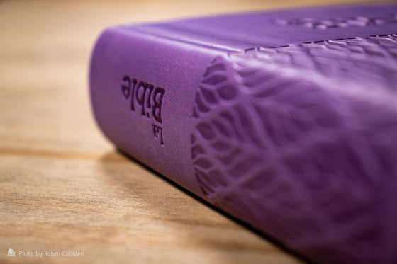 Bible Segond 21 compacte Vivella violet souple