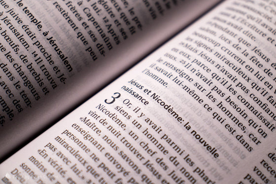 Bible Segond 21 compacte Vivella violet souple