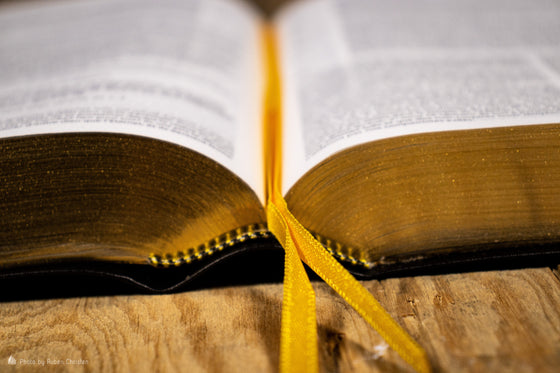 Bible d´étude Vie nouvelle Segond 21 Noire fibrocuir souple Tranche dorée avec boitier