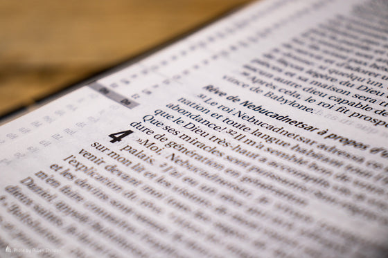 Bible d´étude Vie nouvelle Segond 21 Noire fibrocuir souple Tranche dorée avec boitier