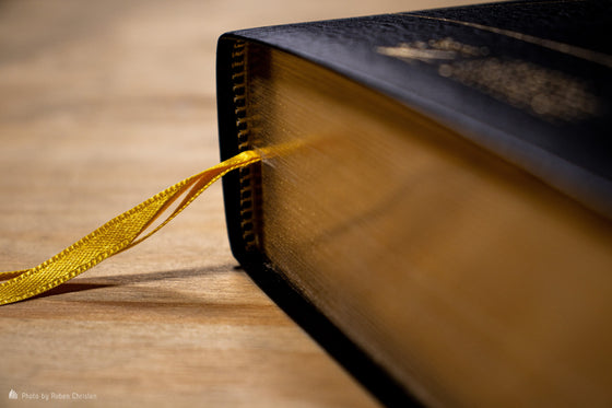 Bible d´étude Vie nouvelle Segond 21 Noire fibrocuir souple Tranche dorée avec boitier