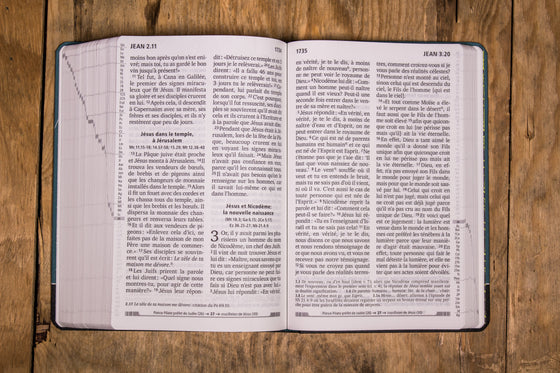 Bible Segond 21 gros caractères bleue grise semi-rigide toilée