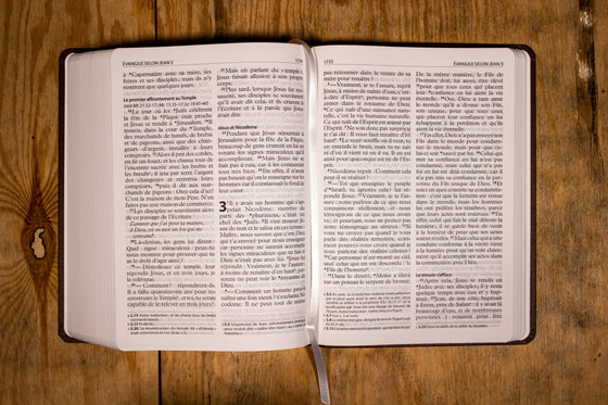 Bible Semeur 2015, gros caractères semi-souple brun