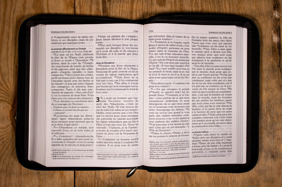 Bible Semeur 2015, gros caractères noire zip