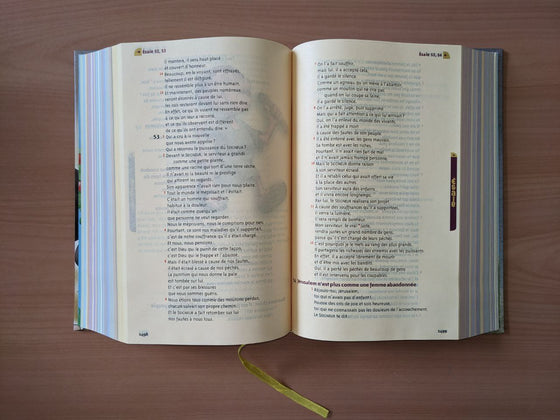 Amis pour toujours - Bible PDV (Parole de Vie) (avec livres deutérocanoniques)