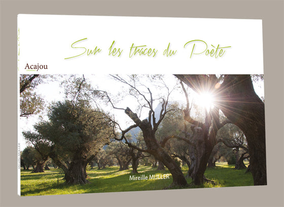 Sur les traces du poète