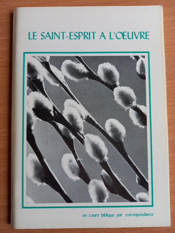 Le Saint-Esprit a l'œuvre