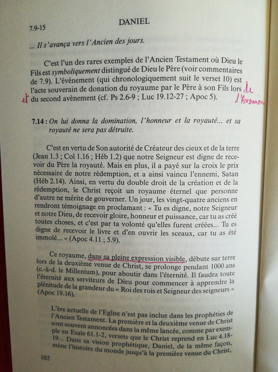 Daniel, commentaire biblique