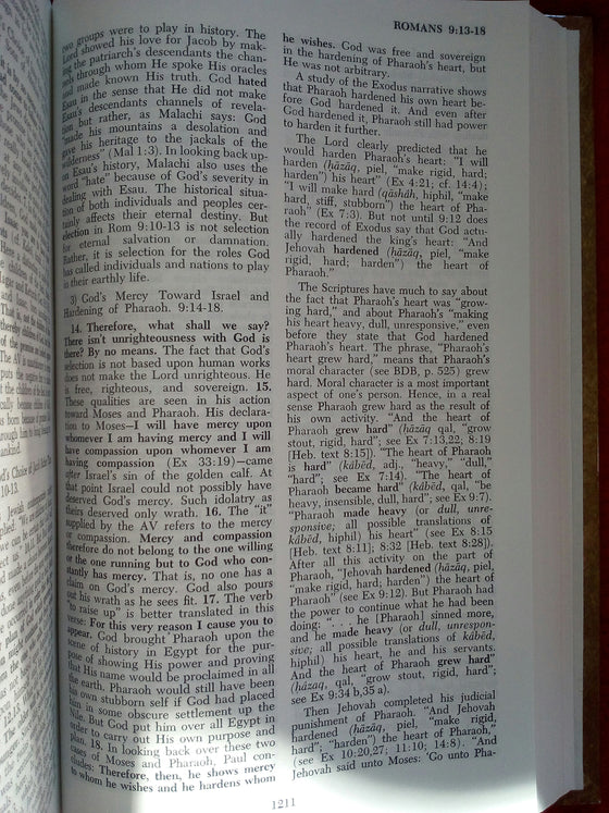 The Wycliffe bible commentary