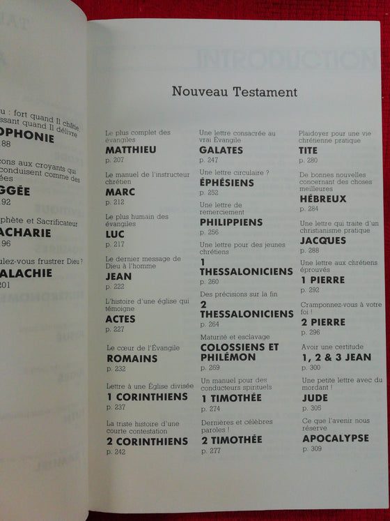 La Bible à grands traits