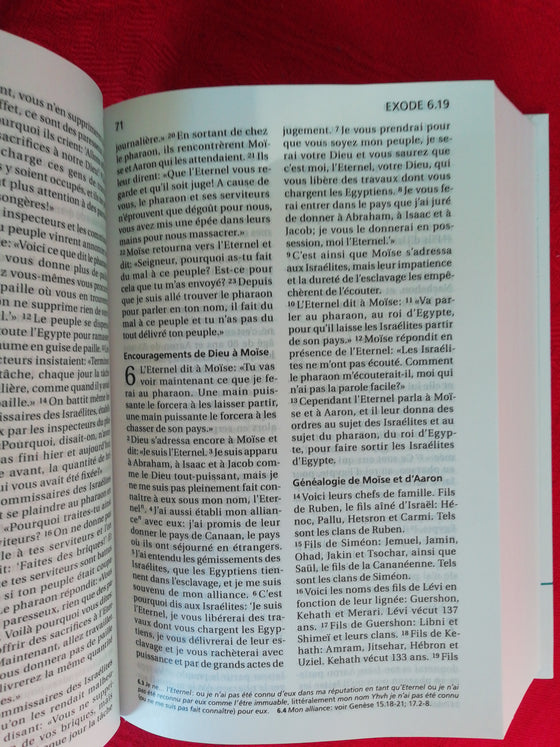 Bible Segond 21 compacte Blanche [Relié]