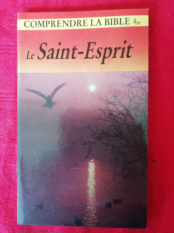 Comprendre la Bible: Le Saint-Esprit