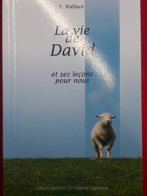 La vie de David et ses leçons pour nous