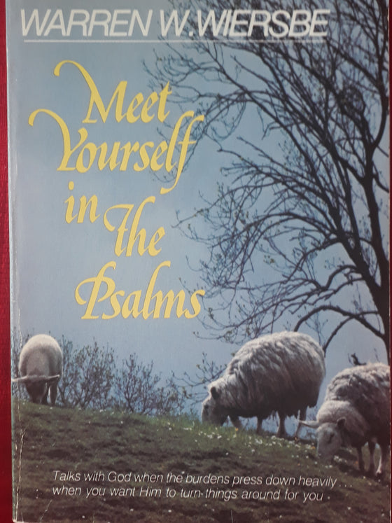 Meet yourself in the psalms