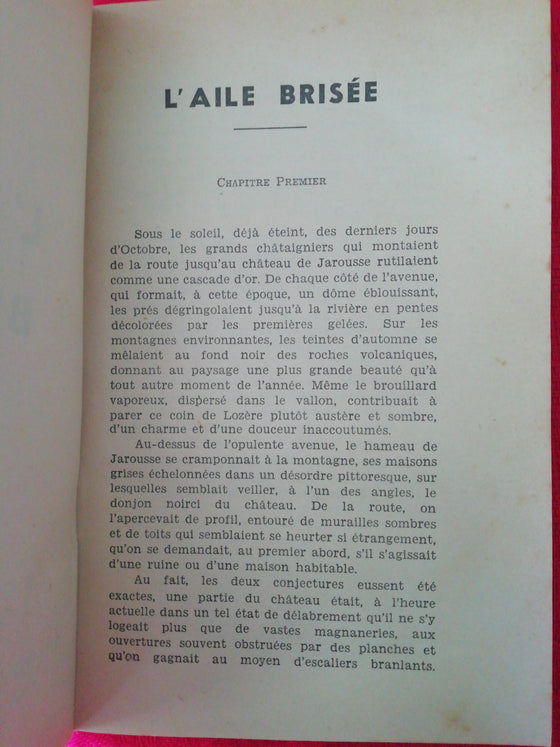 L'aile brisée