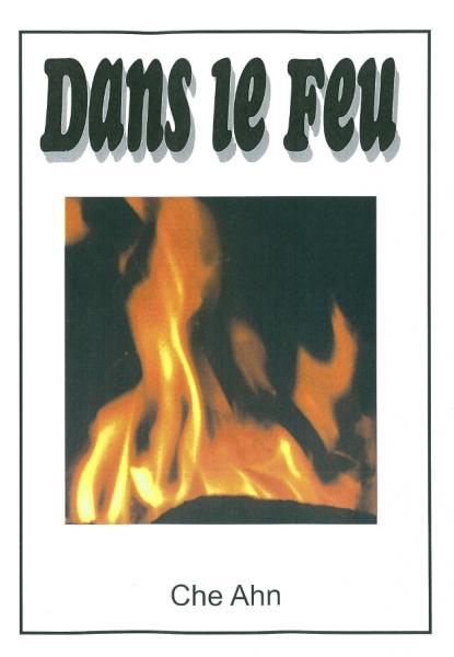 Dans le feu