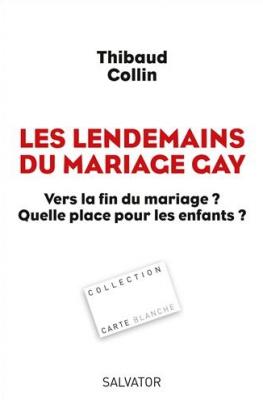 Les lendemains du mariage gay