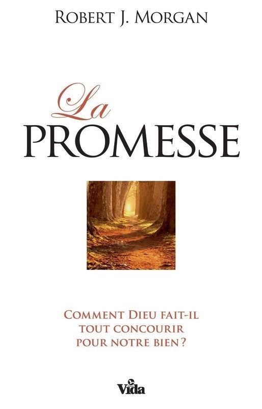 La promesse