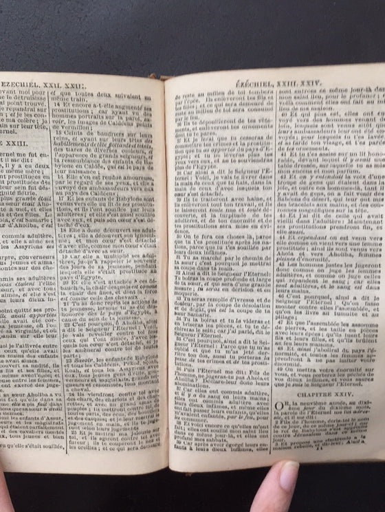 La Sainte Bible 1867