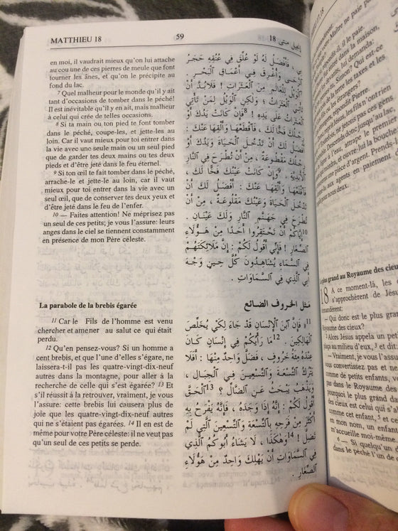 La Bible du Semeur + Nouveau Testament Arabe - ChezCarpus.com