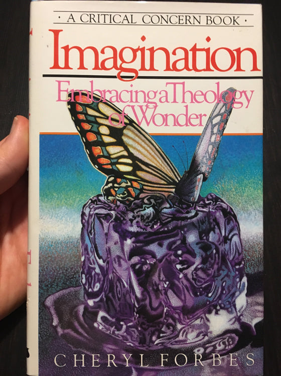 Imagination: Embracing a Theology of Wonder - ChezCarpus.com