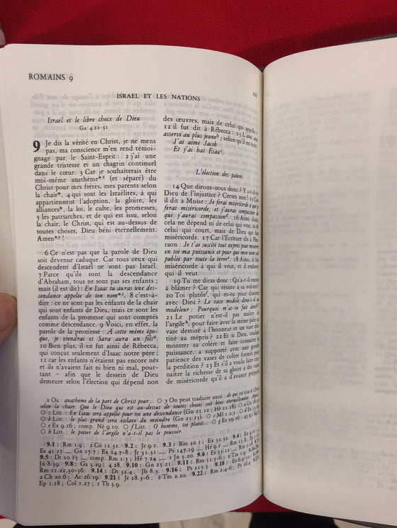 Bible à la Colombe Segond 1978, grise, interfoliée
