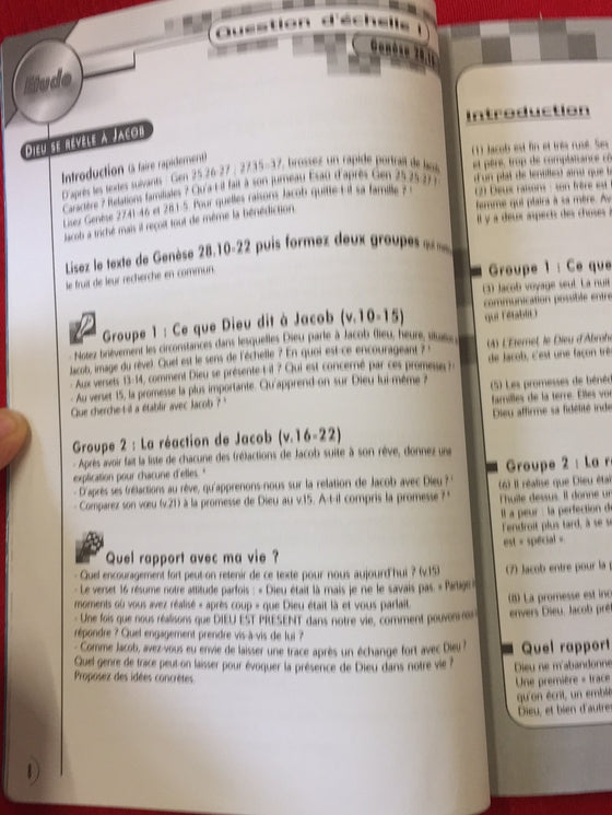 Efferv'Essence 1: Ressources d'étude bibliques et de thèmes pour les jeunes