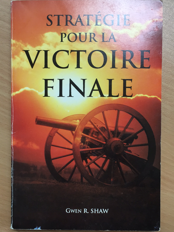 Stratégie pour la victoire finale (retiré des ventes)