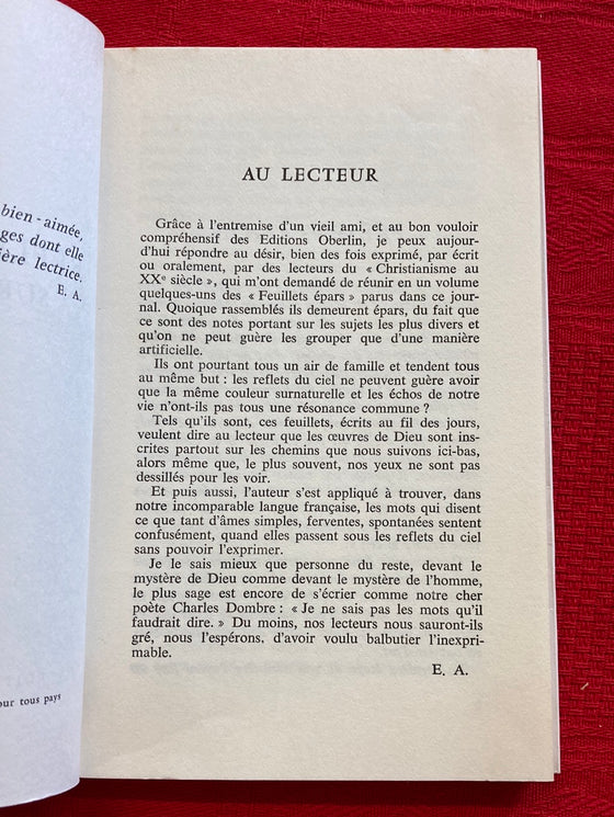 Reflet d'en-haut sur nos chemins