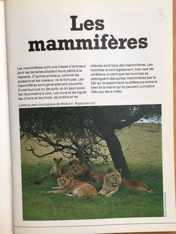 Les mammifères - Merveilles de la nature 5