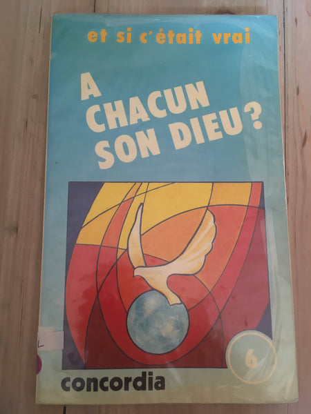 A chacun son Dieu ? Et si c'était vrai numéro 6