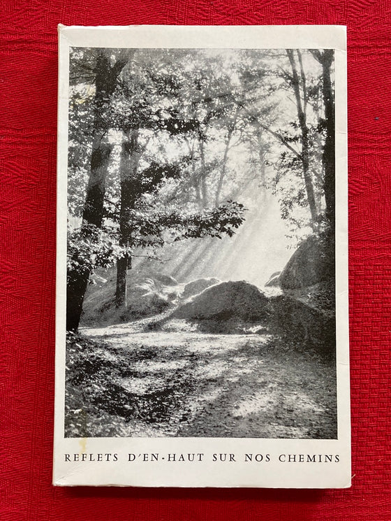Reflet d'en-haut sur nos chemins