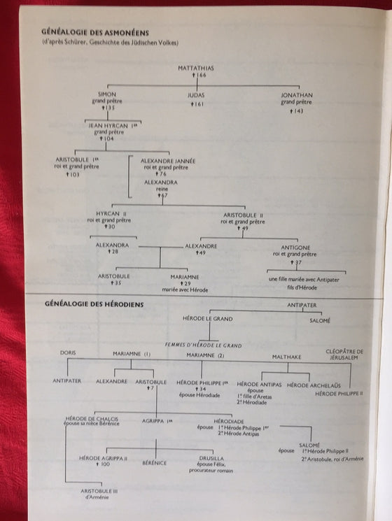 Histoire Ancienne des Juifs - La Guerre des Juifs contre les Romains