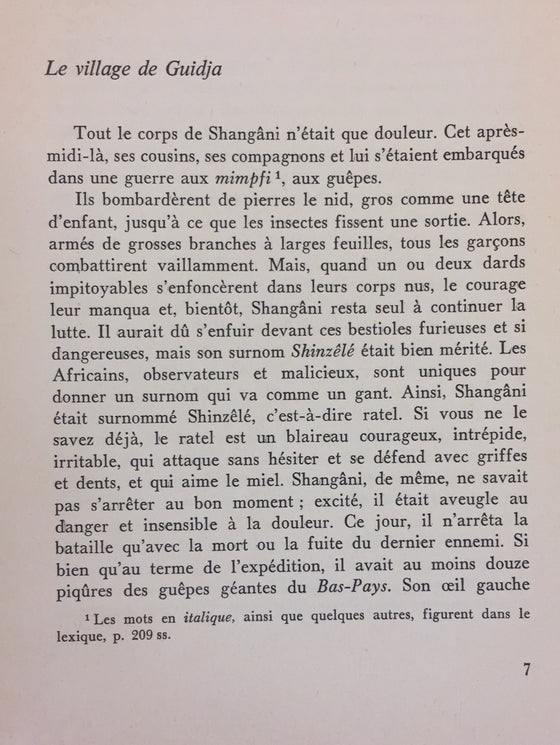 Shangâni - Les aventures authentique d'un jeune Bantou