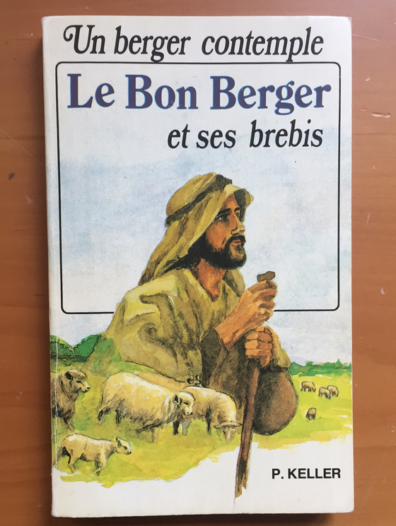 Un berger contemple Le Bon Berger et ses brebis - ChezCarpus.com