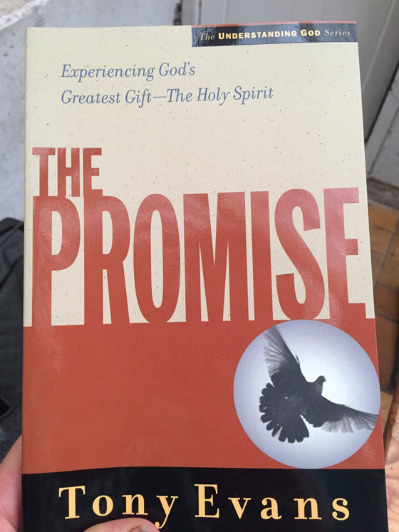 The Promise (retiré des ventes)