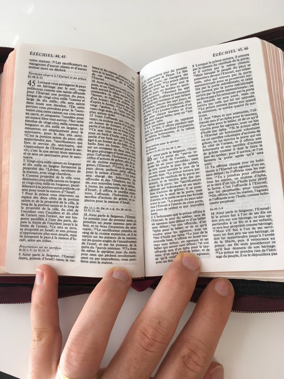 La Bible (NEG format poche avec housse et fermeture) - ChezCarpus.com