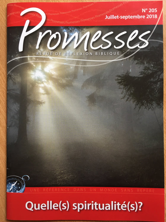 Promesses N°205 - Quelle(s) spiritualité(s)?