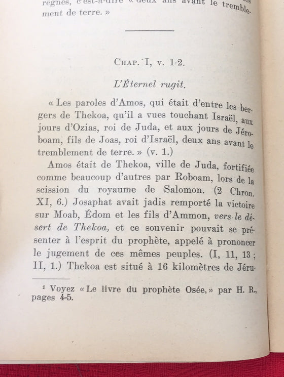 Le livre du prophète Amos