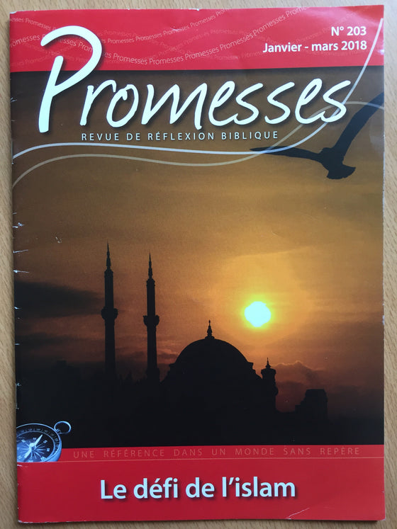 Promesses N°203 - Le défi de l’Islam