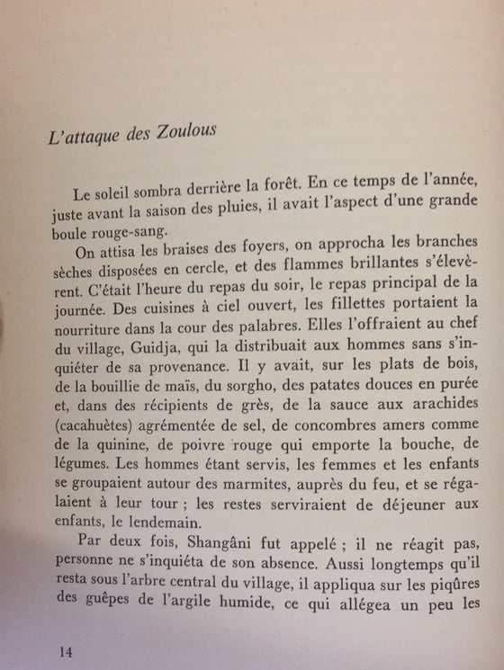 Shangâni - Les aventures authentique d'un jeune Bantou