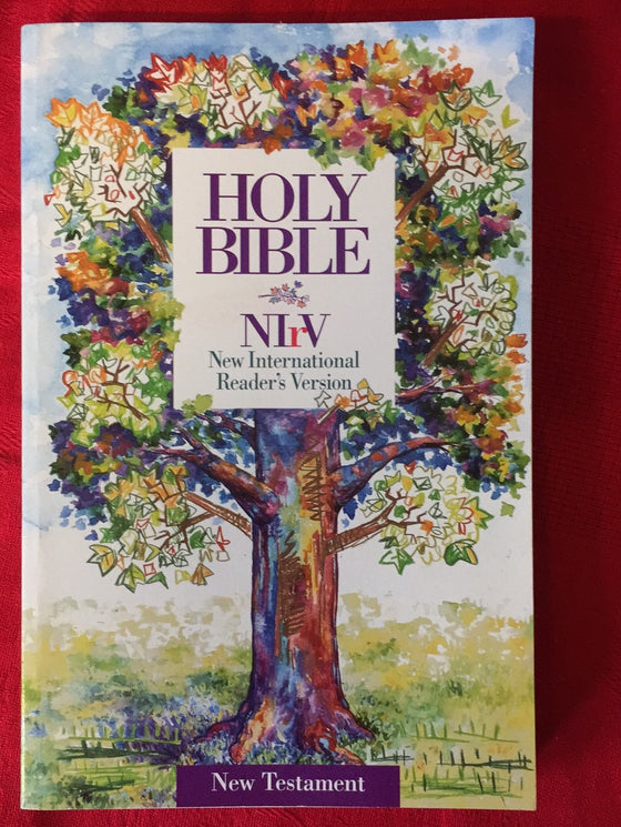 NIrV New Testament