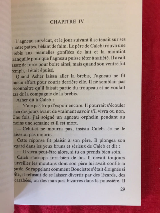 L'agneau de Caleb