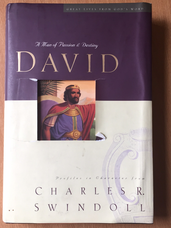 David: a man of Passion & Destiny