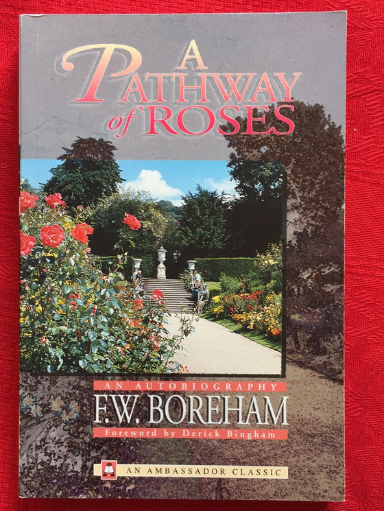 A Pathway of Roses