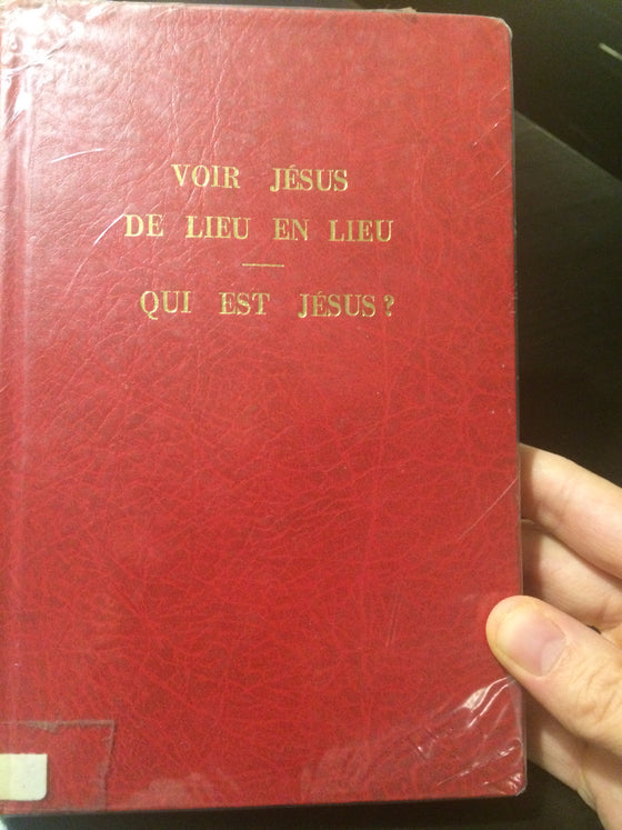 Voir Jesus de lieu en lieu, Qui est Jésus? - ChezCarpus.com