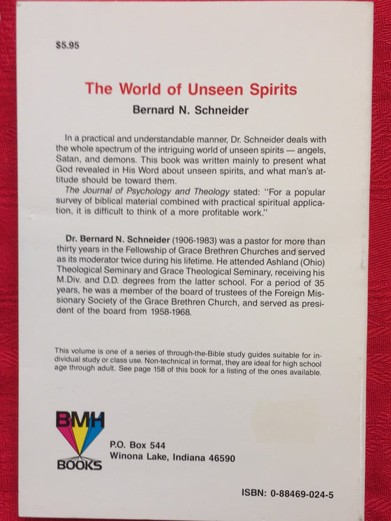 The World of Unseen Spirits