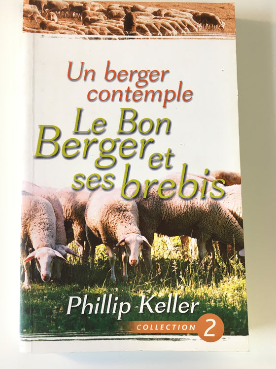 Un berger contemple Le Bon Berger et ses brebis - ChezCarpus.com